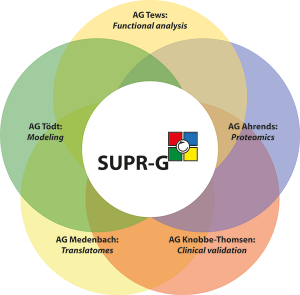 SUPR-G-Overview