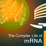 Complex-Life-of-RNA