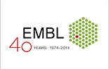 EMBl-40-years